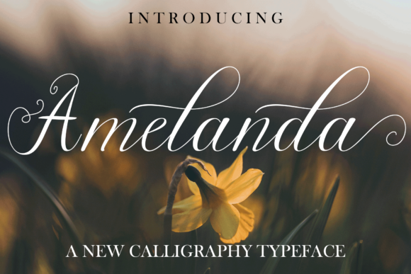 Amelanda: A Strategic Choice for Elegant Design