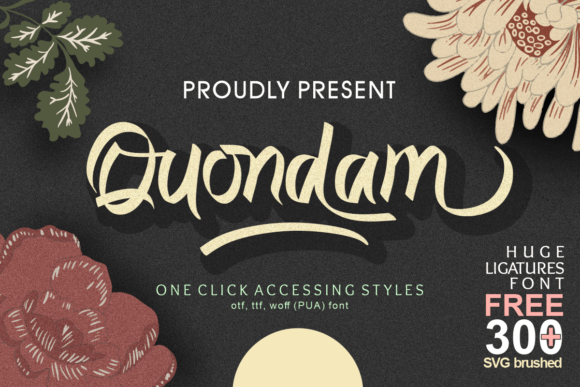 Discover the Elegance of Quondam