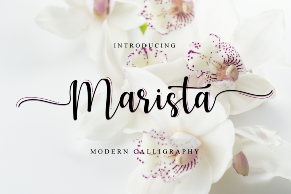 Marista: Elegant Handwritten Style for Every Design