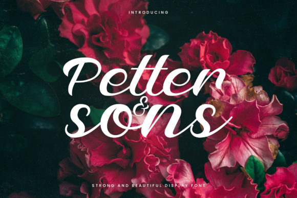 Petter and Sons Handwritten Font
