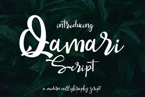 Qamari Script: Elegant Handwritten Style