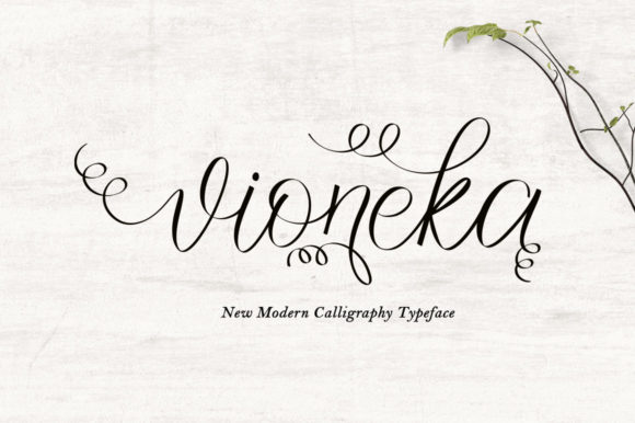 Vioneka: A Touch of Elegance